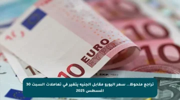 تراجع ملحوظ.. سعر اليورو مقابل الجنيه يتغير في تعاملات السبت 30 أغسطس 2025